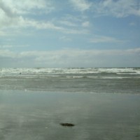 Rossnowlagh dog-friendly beach, RoI - Dog walks in Ireland