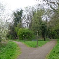 Wetherby Triangle, Yorkshire, West Yorkshire - Dog walks in Yorkshire