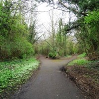 Wetherby Triangle, Yorkshire, West Yorkshire - Dog walks in Yorkshire