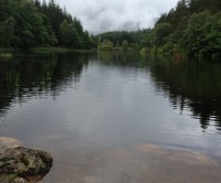 A82 dog walk near Glencoe, Scotland - Dog walks in Scotland