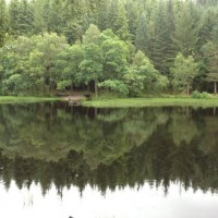 A82 dog walk near Glencoe, Scotland - Dog walks in Scotland
