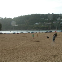 Mill Bay dog-friendly beach, Devon - Dog walks in Devon