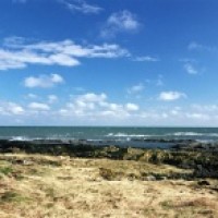 Ballyhalbert dog-friendly beach, NI - Dog walk in Northern Ireland