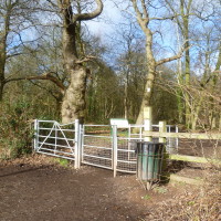 Kenilworth woodland walk, Warwickshire - Dog walks in Warwickshire