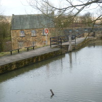 Country Park dog walk near Barnsley, South Yorkshire - Dog walks in Yorkshire