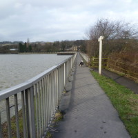 Country Park dog walk near Barnsley, South Yorkshire - Dog walks in Yorkshire