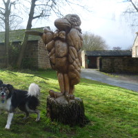 Country Park dog walk near Barnsley, South Yorkshire - Dog walks in Yorkshire
