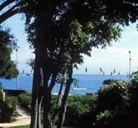 Saramartel, Juan-les-pins dog walk, France - Dog walks in France