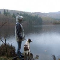 Dog Walking Service, Fife, Scotland - Scotland dog service