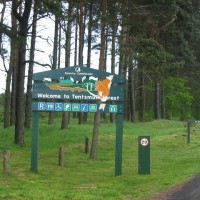 Dog-friendly beach and dog walk near St Andrews, Scotland - Dog walks in Scotland