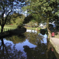 Ripon Canal dog walk, North Yorkshire - Dog walks in Yorkshire