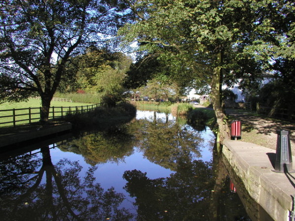 Ripon Canal dog walk, North Yorkshire - Driving with Dogs
