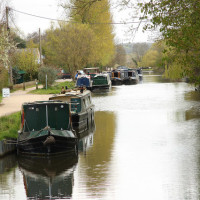 Aldermaston Wharf dog walk, Berkshire - Dog walks in Berkshire
