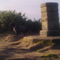 Royden Park, Merseyside - Dog walks in Merseyside