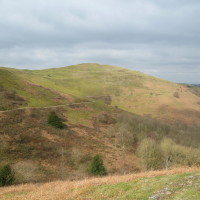 Malvern Hills dog walks, Worcestershire - Dog walks in Worcestershire