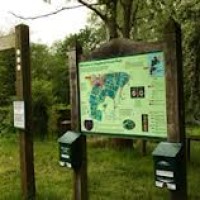 Kingsford Forest dog walk, Worcestershire - Dog walks in Worcestershire