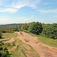 Thurstaston Common and Hill, Merseyside - Dog walks in Merseyside