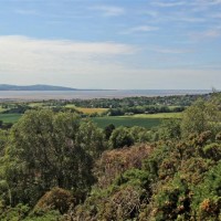 Thurstaston Common and Hill, Merseyside - Dog walks in Merseyside
