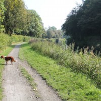 Kirkintilloch dog walk, Scotland - Dog walks in Scotland