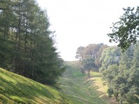 Kirkintilloch dog walk, Scotland - Dog walks in Scotland