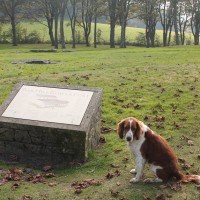 Kirkintilloch dog walk, Scotland - Dog walks in Scotland