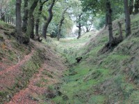 Canal dog walk from Kilsyth, Scotland - Dog walks in Scotland