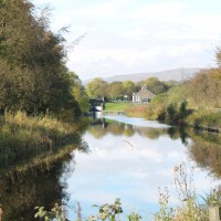 M80 Junction 6a dog walk near Banknock, Scotland - Dog walks in Scotland