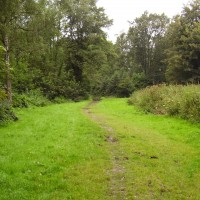 M5 Junction 30 Millenium Woods Topsham dog walk, Devon - Dog walks in Devon