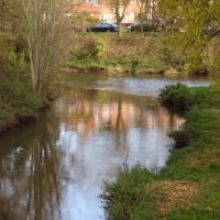 River Weaver dog walk Nantwich, Cheshire - Dog walks in Cheshire