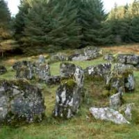Dog walk near Sligo, RoI - Dog walks in Ireland