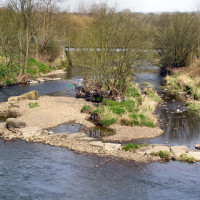 Bury dog walk, Lancashire - Dog walks in Lancashire
