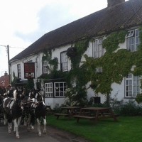 Tetford dog walk and dog-friendly pub, Lincolnshire - Dog walks in Lincolnshire