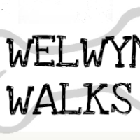 Welwyn Walks, Hertfordshire - Image 1