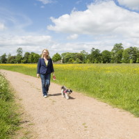 A38 Croome Park dog walks, Worcestershire - Dog walks in Worcestershire