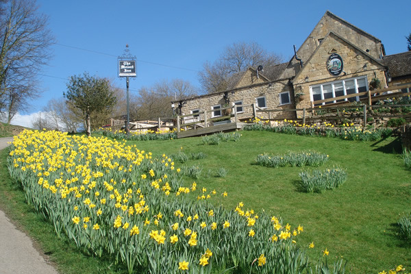 Cotswold dog walk and a dog-friendly pub, Gloucestershire - Driving ...