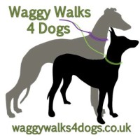 Waggy Walks 4 Dogs, Hampshire - Image 1