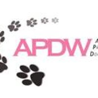 Waggy Walks 4 Dogs, Hampshire - Image 4