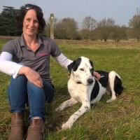 PetStay, Warwickshire - Image 3