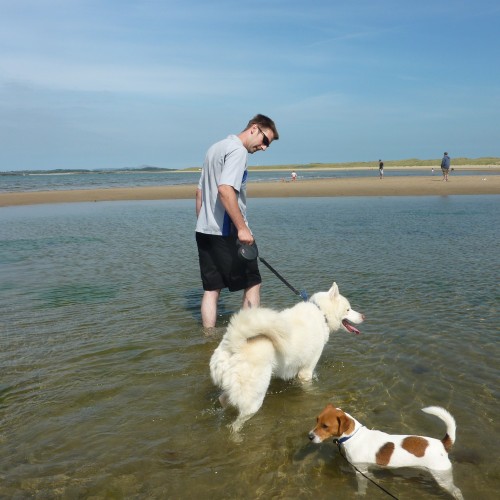 Rhosneigr dogfriendly beach, Anglesey, Wales Driving with Dogs