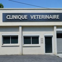 Saint Ambroix Vet, France - Image 1