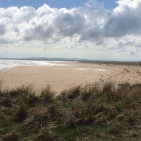 A9 dog-friendly beach at Dornoch, Scotland - Dog walks in Scotland
