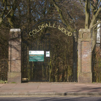 Coldfall Woods local dog walk, Greater London - Dog walks in Greater London