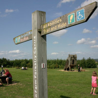 A38 National Forest dog walk with cafe, Staffordshire - Dog walks in Staffordshire