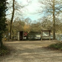 A12 Danbury Country Park doggiestop, Essex - Dog walks in Essex