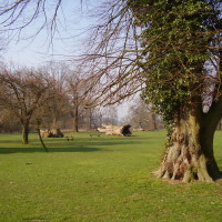 M1 Junction 10 dog walk and cafe near Luton, Bedfordshire - Dog walks in Bedfordshire