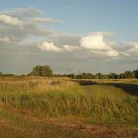 Fairlop Waters local dog walk, Greater London - Dog walks in Greater London