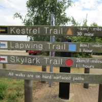 Brixworth dog walks, Northamptonshire - Dog walks in Northamptonshire