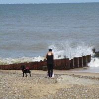Gunton Denes dog-friendly beach, Suffolk - Dog walks in Suffolk