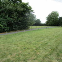 Bungay castle walk and dog-friendly pub, Suffolk - Dog walks in Suffolk