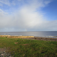 Dunster dog-friendly beach, Somerset - Dog walks in Somerset